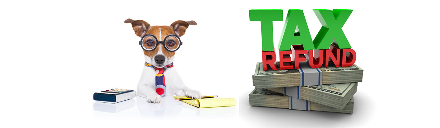 Dog accountant sitting next to his tax refund.