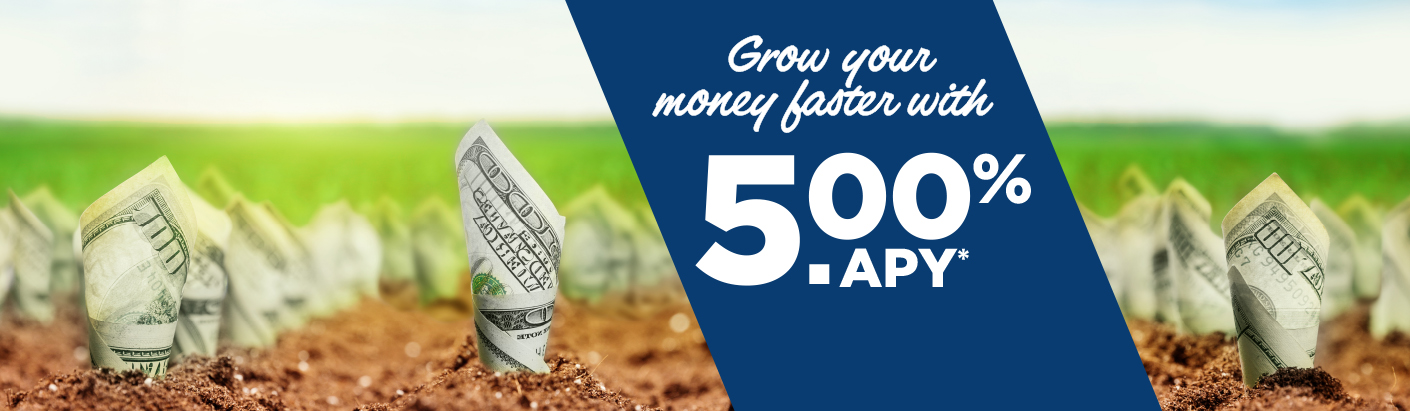 $100 bills growing out of the soil as if they were planted like flowers.
